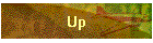 Up